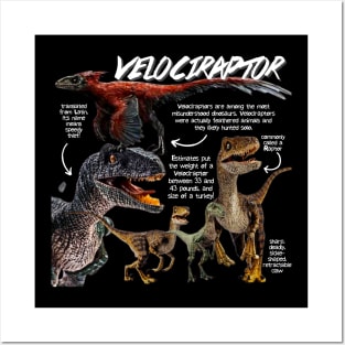 Velociraptor Fun Facts Posters and Art